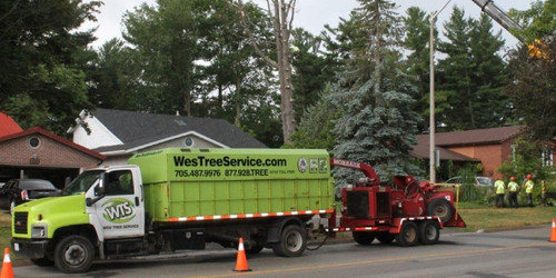 Residential Tree Service | Westreeservice.com.jpg