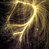 laniakea.png