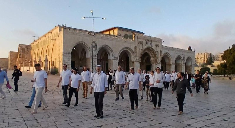 اقتحم 2205 مستوطنين باحات المسجد الأقصى المبارك تحت حماية شرطة الاحتلال في سادس أيام ما يُسمى بـ "عيد العرش العبري"....