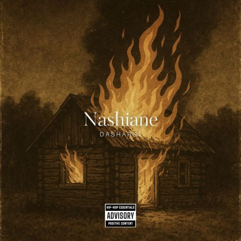 دانلود آهنگ داش ارسی به نام ناشیانه