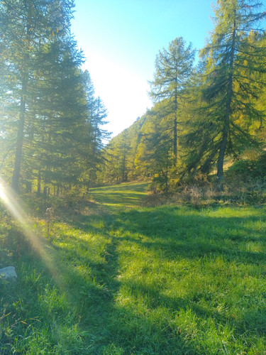 IMG 20251012 084500.jpg