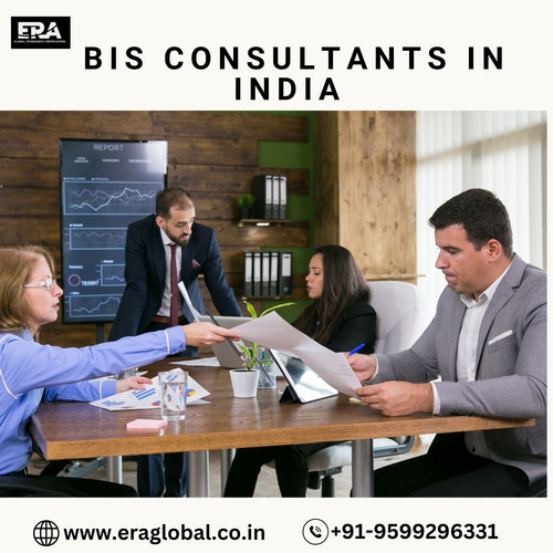 _BIS Consultants in India.jpg
