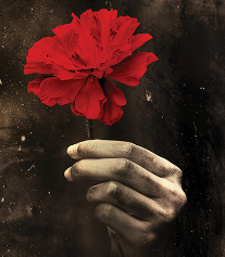 oie XFCpKu0uYYFX.png