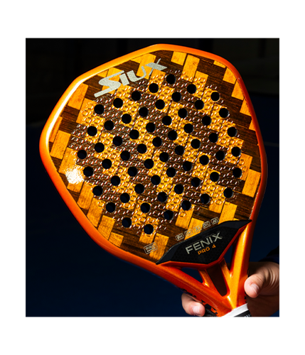 fenix1 83ee4a70 70fc 449f bb75 69d283e616e1.png