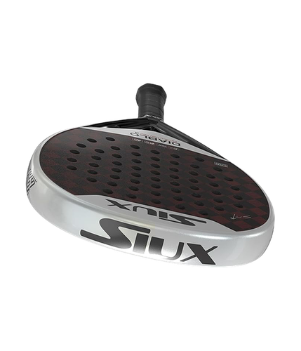 PalaSiuxDiabloRevolutionSanyoPro32024 5.png