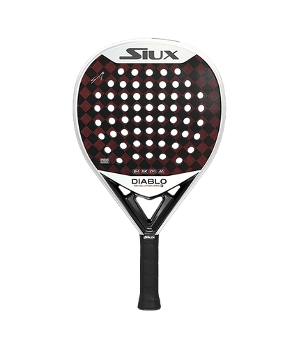 PalaSiuxDiabloRevolutionSanyoPro32024 1.png