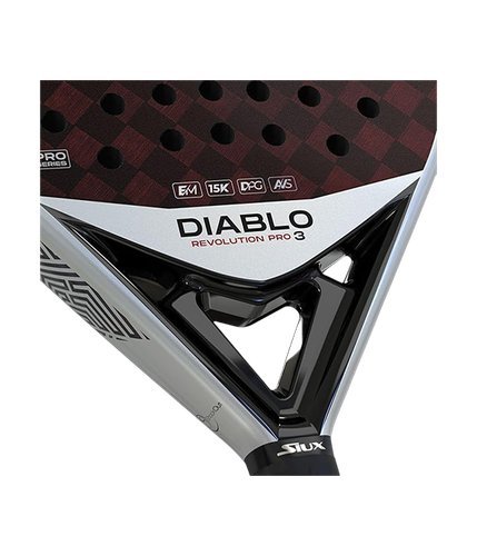 PalaSiuxDiabloRevolutionSanyoPro32024 6.png