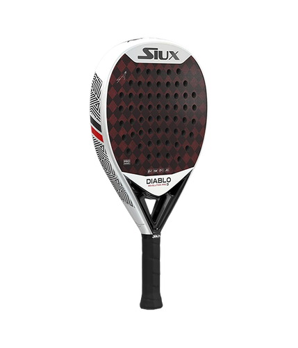 PalaSiuxDiabloRevolutionSanyoPro32024 2.png