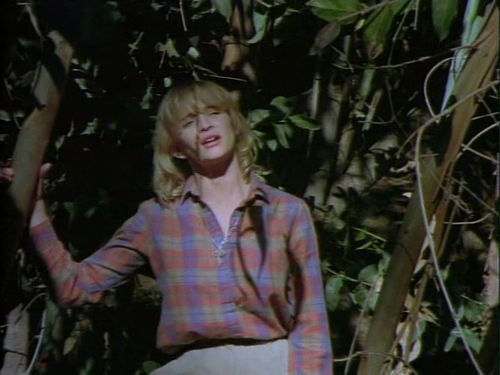 cap Camp Fear (1991) DvdRip x264 DK 00 41 59 04.png