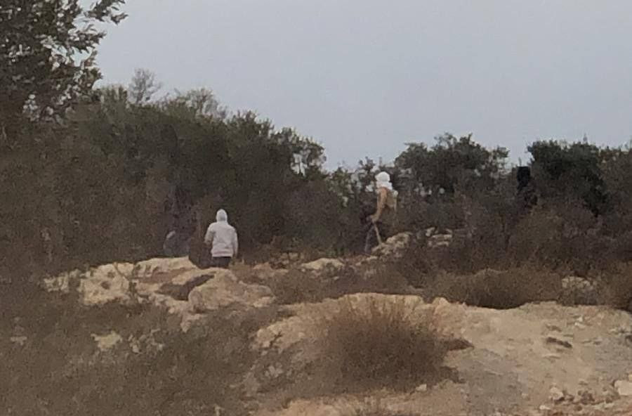 مستوطنون يهاجمون المزارعين الفلسطينيين في قرية برقا شرق رام الله....