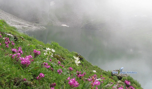 Things To Know About Valley Of Flowers Trek.jpg