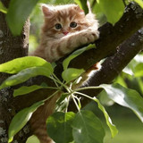 7ac0b55e2ecf7ac9c2ae94f3550bda27