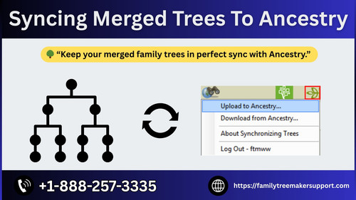 Syncing Merged Trees To Ancestry.jpg