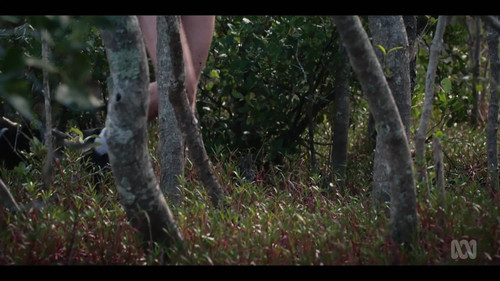 frame0.jpg