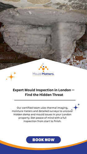 Expert Mould Inspection in London — Protect Your Home Today.jpg