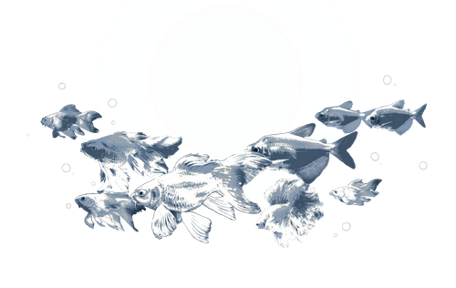 1000087682.png