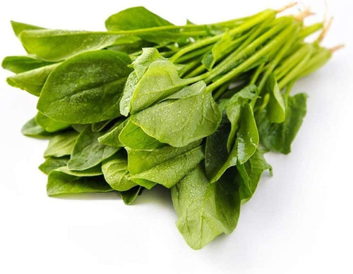 61OZyaJhr9L. AC SL1283 .jpg