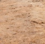 Ground.jpg