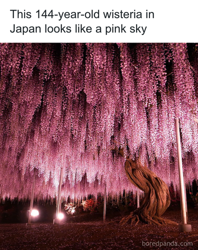 download 2025 10 29T130419.902.png