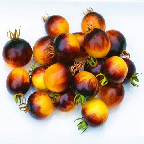 61rfKheYCvL. AC SL1001 .jpg