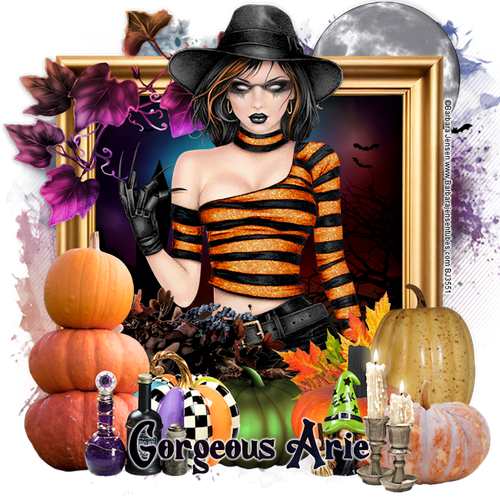 Gorgeous Arie 2025Hall Nig BJ