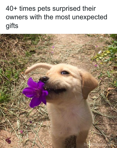 download 2025 10 28T222250.658.png