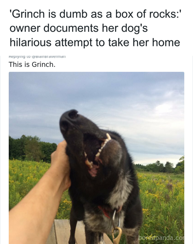 download 2025 10 28T221919.502.png