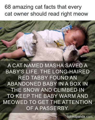 download 2025 10 28T222559.989.png