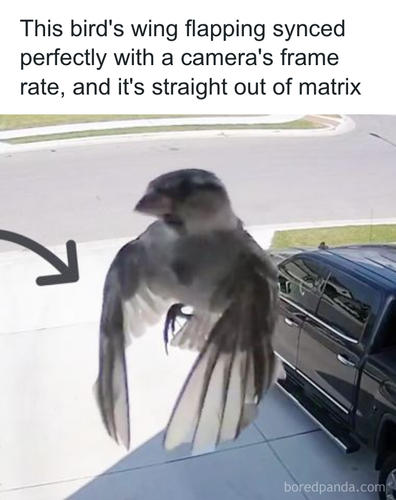 download 2025 10 28T225055.567.png