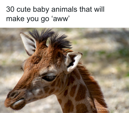 download 2025 10 28T222942.818.png