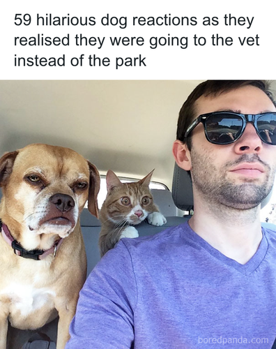 download 2025 10 28T231118.319.png