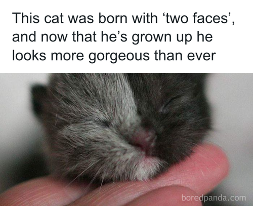 download 2025 10 28T223730.211.png