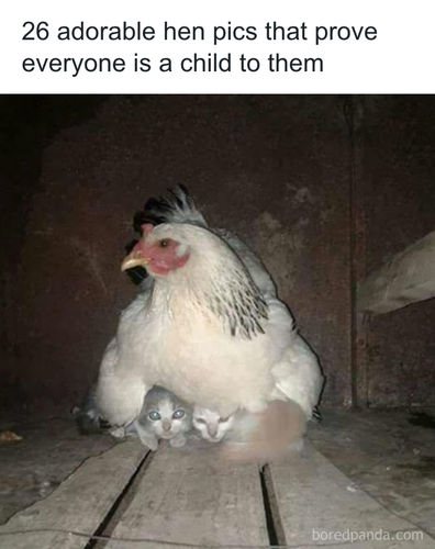 download 2025 10 28T231313.083.png