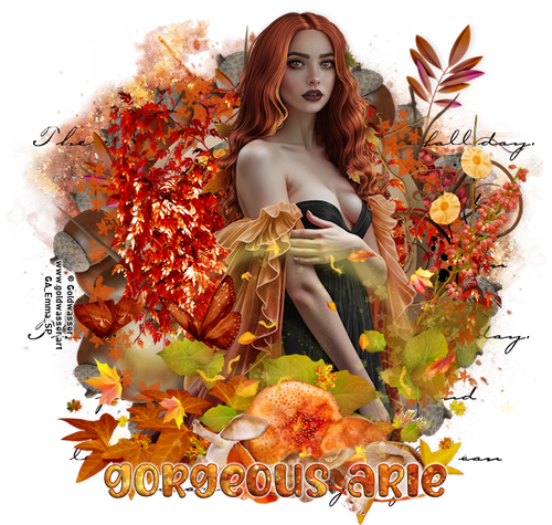Gorgeous Arie 2025Fall Colours GW