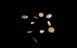 ezgif.com resize.gif