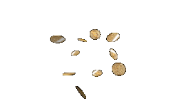 ezgif.com gif to apng converter (15).png