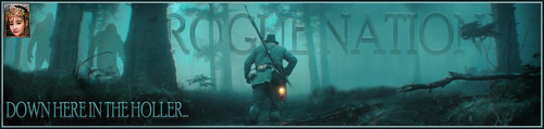 Holler Banner.jpg
