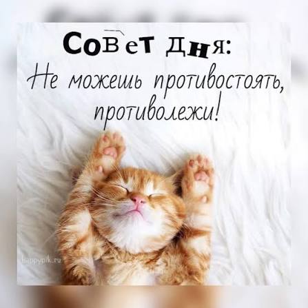 1000002410.jpg
