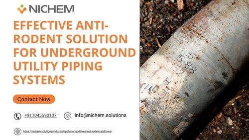 Effective Anti-Rodent Solution for Underground Utility Piping Systems.jpg