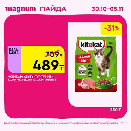 Magnum 1620x1620 1 tov 2025 10 29T125300.250.png