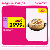 Magnum 1620x1620 1 tov 2025 10 29T125310.340