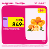 Magnum 1620x1620 1 tov 2025 10 29T125312.290