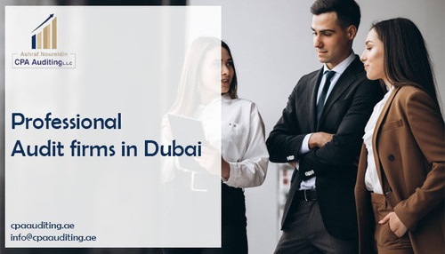 Professional Audit firms in Dubai.jpg