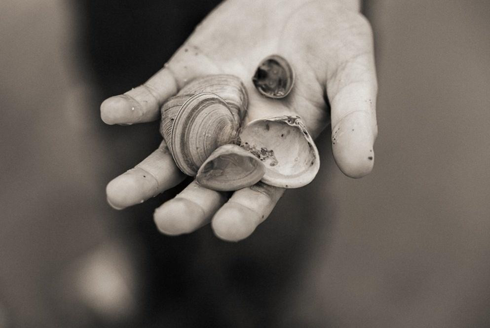 Terugblik | Wat 2025 mij heeft geleerd (en wat ik meeneem naar 2026)