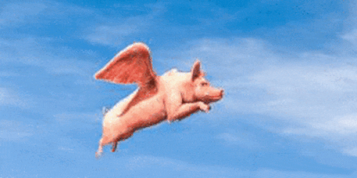 pigflying.gif