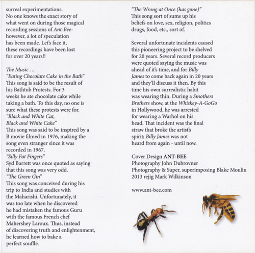 Ant Bee Pure Electric Honey cd 4.jpg
