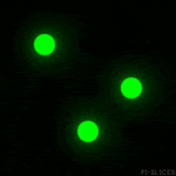 ezgif.com gif to apng converter (16).png