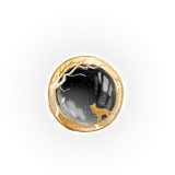 มนุษย์หมาป่า 20.png