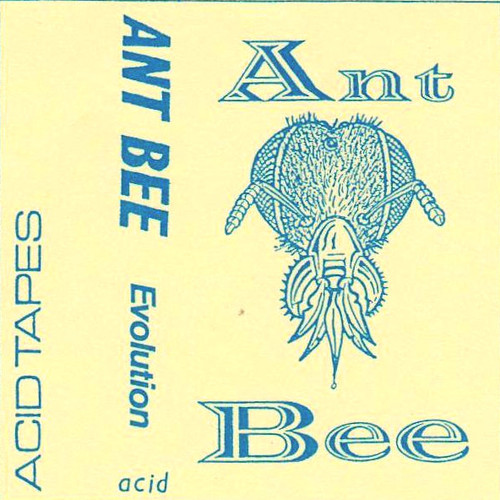 Ant Bee Evolution.jpg