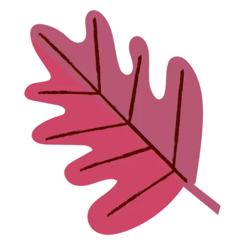 LE LEAF.webp